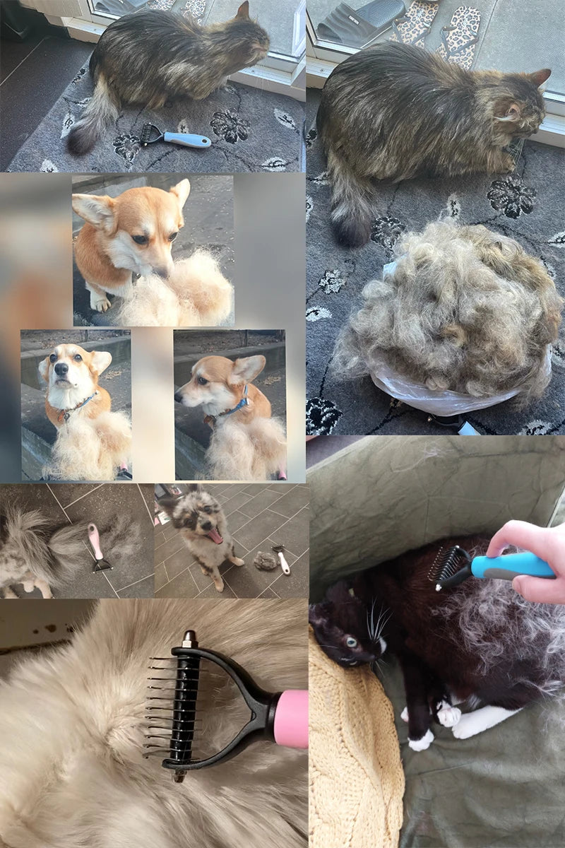 Pet Hair Remover comb for Dogs & Cats