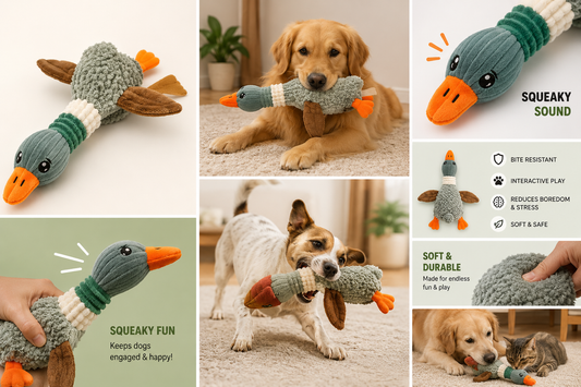 Wild Goose Squeaky Pet Toy - Bite Resistant Dog Toy