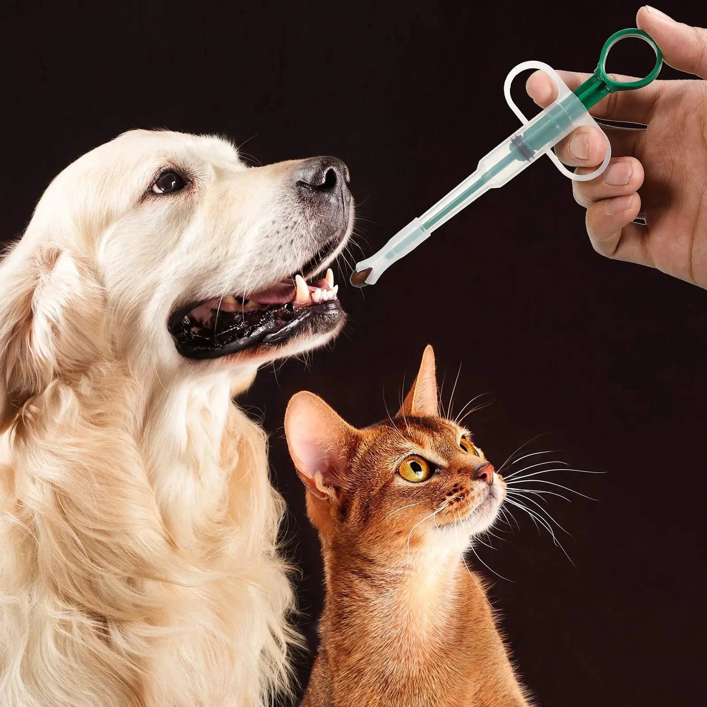 Pet Medication Dispenser – Easy Pill Feeding Stick for Cats & Dogs. Dispensador de Medicación para Mascotas – Fácil Alimentación de Pastillas