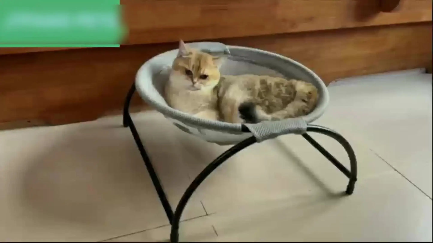 Cat Hammock Bed – Breathable, Cooling & Elevated Pet Bed. Cama Hamaca para Gatos – Elevada, Fresca y Transpirable.