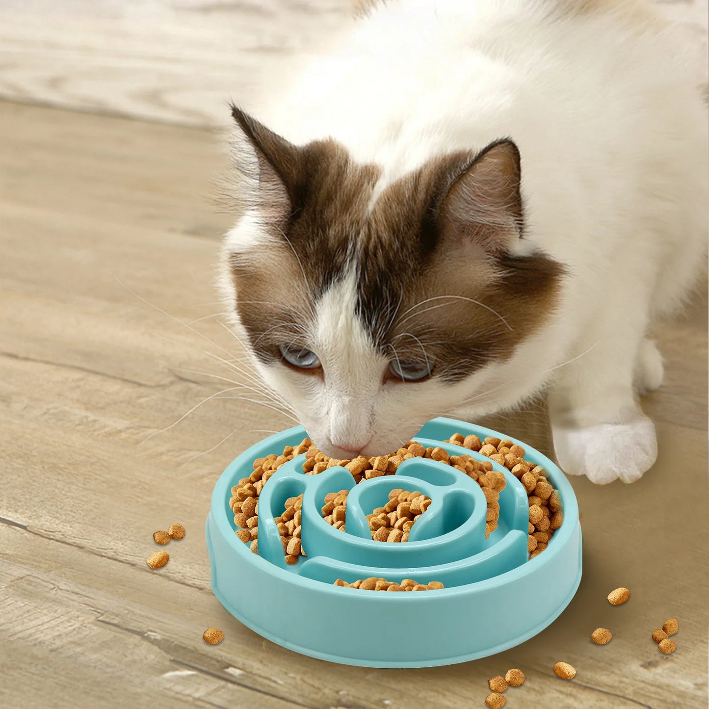 Slow Feeder Bowl for Pets – Non-Slip & Durable Design. Plato Antivoracidad para Mascotas – Antideslizante y Resistente.