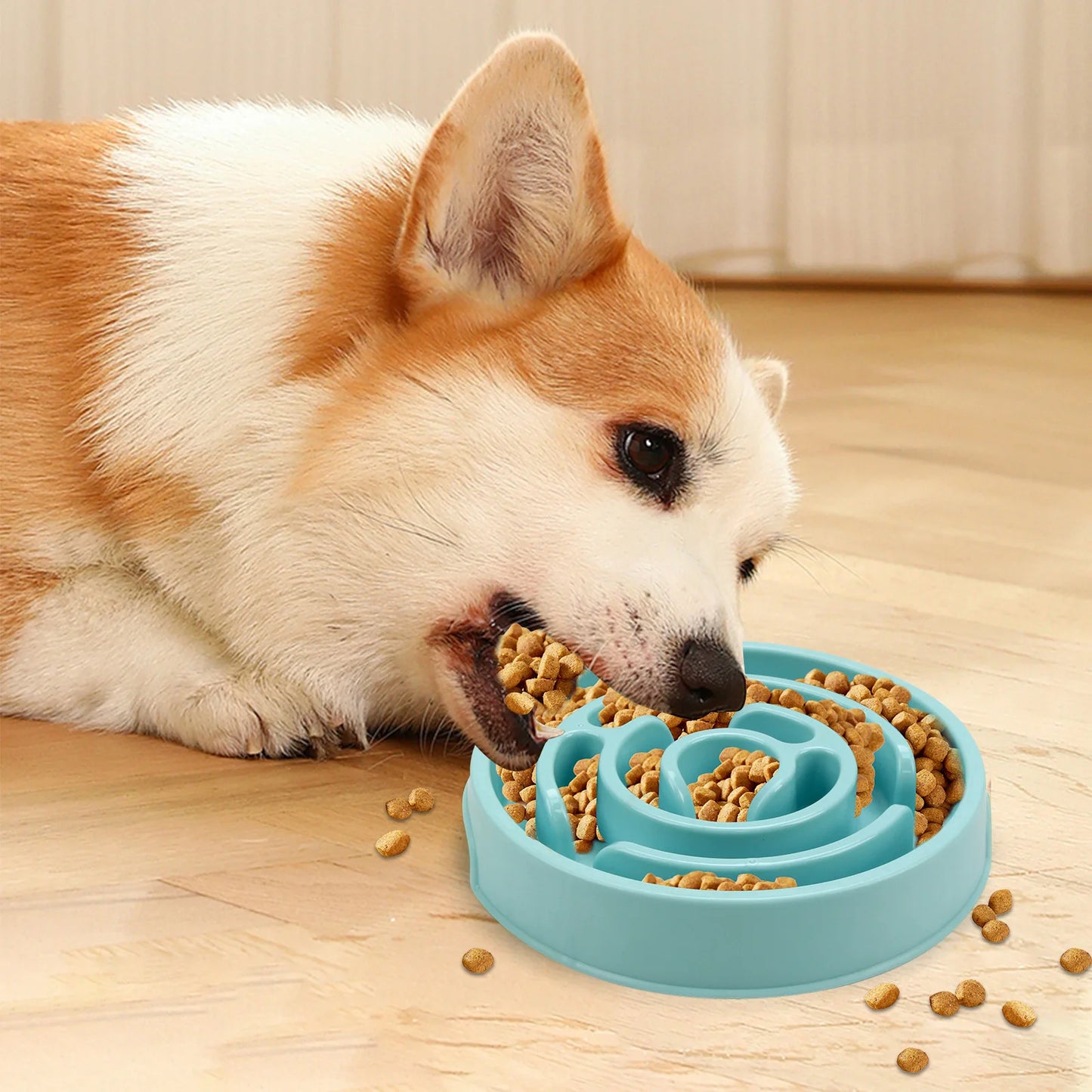 Slow Feeder Bowl for Pets – Non-Slip & Durable Design. Plato Antivoracidad para Mascotas – Antideslizante y Resistente.